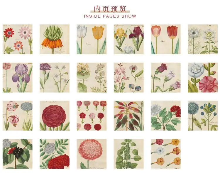 

Набор наклеек Gimue с дикими растениями и цветами