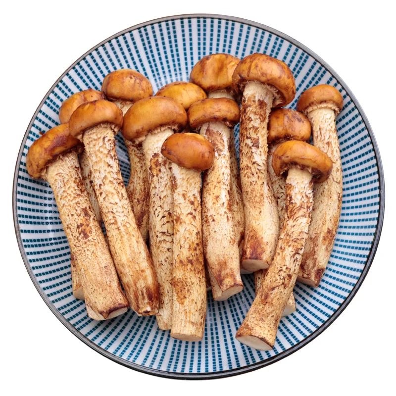 

Subway fresh tiger tricholoma matsutake yunnan wild fungus mushroom