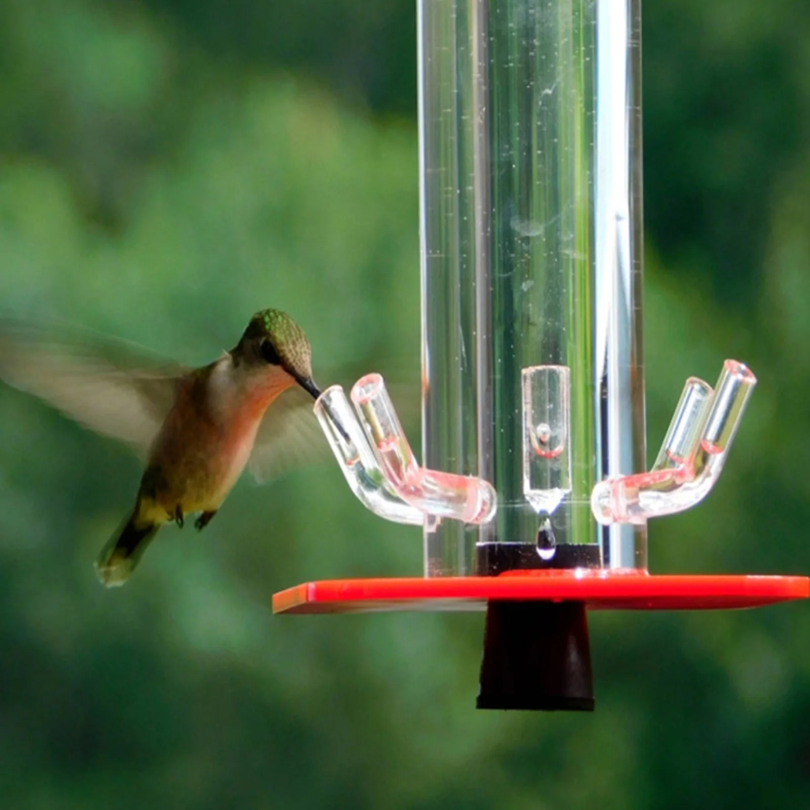 Колибри подачи открытый кормушка для птиц с 5 станции кормления на открытом