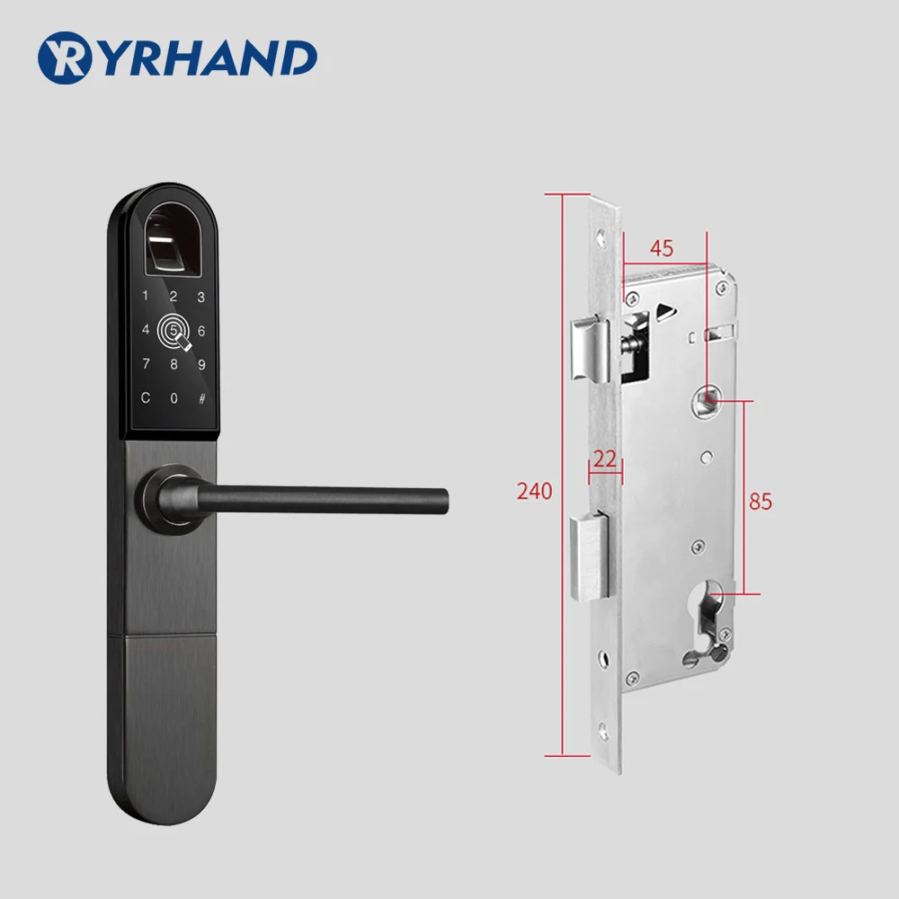 4585 swing Европейский Bluetooth WiFi биометрический дверной замок отпечатков пальцев для алюминиевых раздвижных или распашных дверей с 3585 врезом для наружного - Цвет: 4585 swing