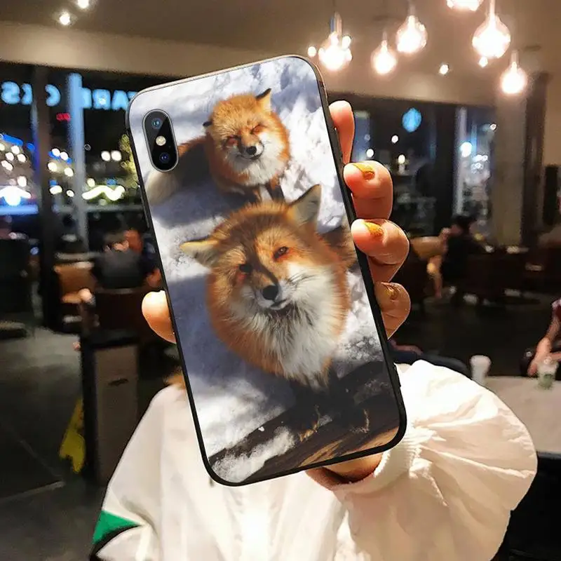 

Animal Raccoon Fox fashion Phone Case for iPhone 11 12 pro XS MAX 8 7 6 6S Plus X 5S SE 2020 XR