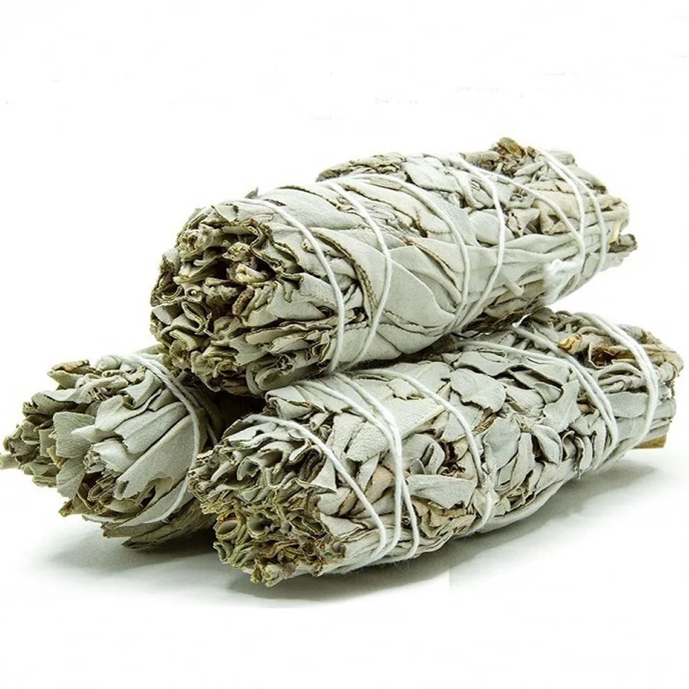 

2 букета длиной 18 см, бесплатная доставка, сушеные букеты Salvia apiana, белые букеты шалфея и белые листья шалфея