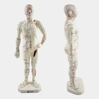 medical chineseenglish medicine meridians acupuncture moxibustion model acupuncture point mannequin acupuncture model 26cm