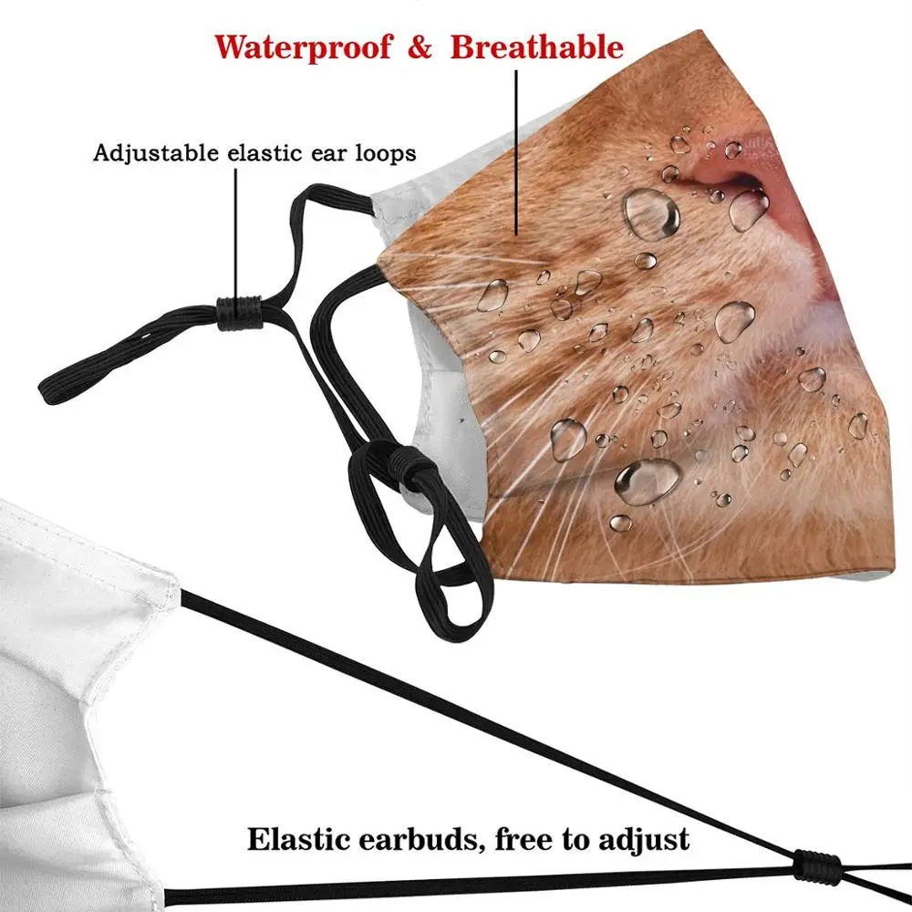 Лицевая маска в виде кошки Забавный дизайн со смешным рисунком многоразовые Pm2.2900