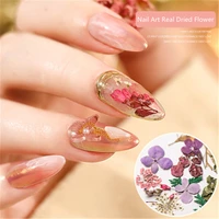 1 box gislan 3d dry flowers stickers real dried flower plants nail art decoration tips diy manicure tools 2021 new arrival