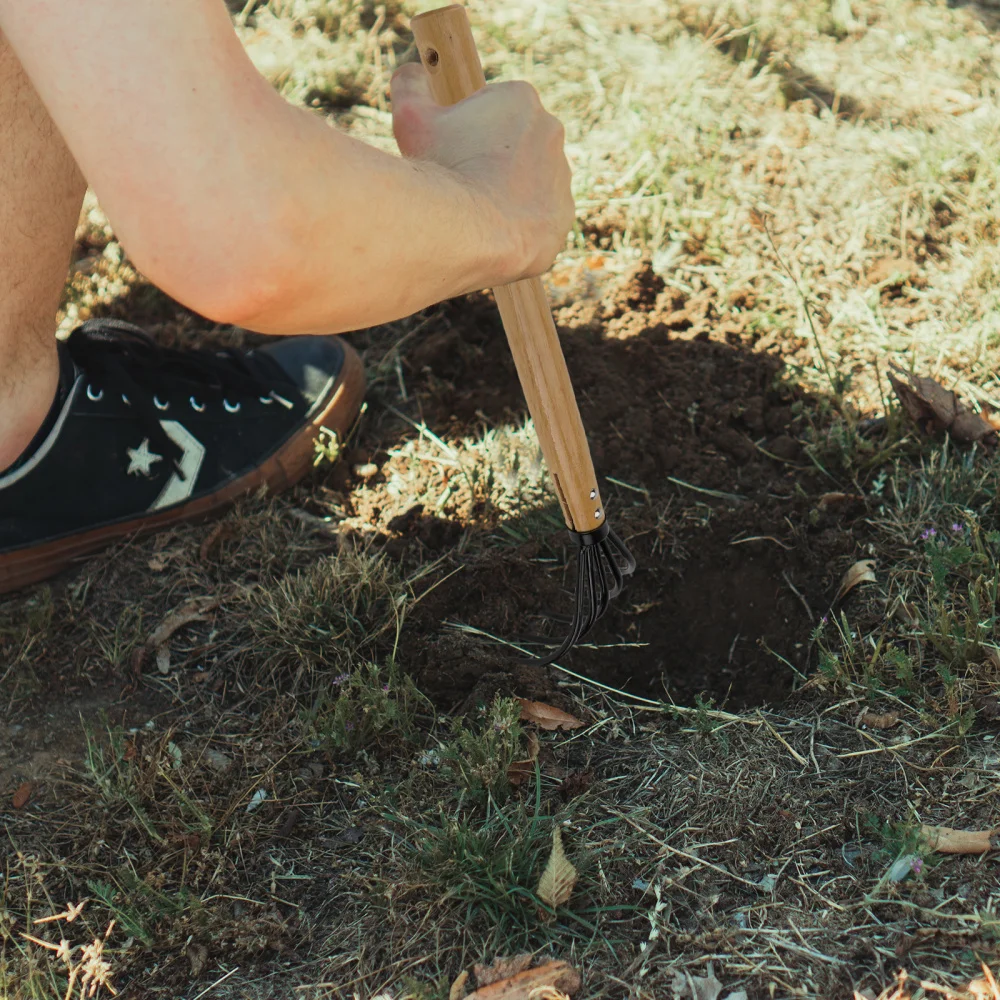 

1pc Leaves Cleaning Rake Fallen Leaves Spade Park Cleaning Accessory (Black)