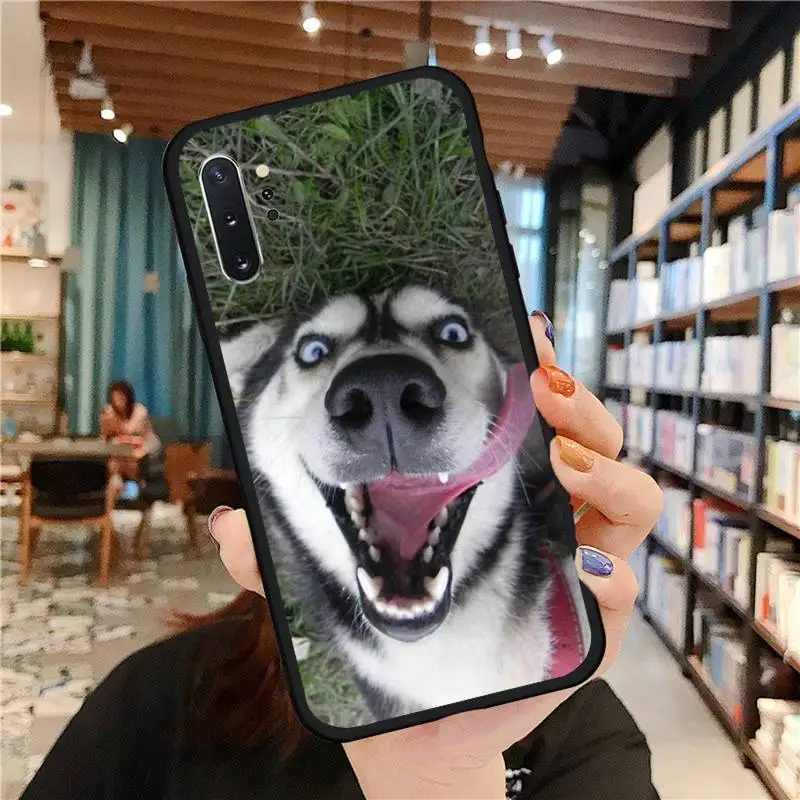 

Husky dog cute Phone Case For Samsung A50 A51 A71 A20E A20S S10 S20 S21 S30 Plus ultra 5G M11 funda cover