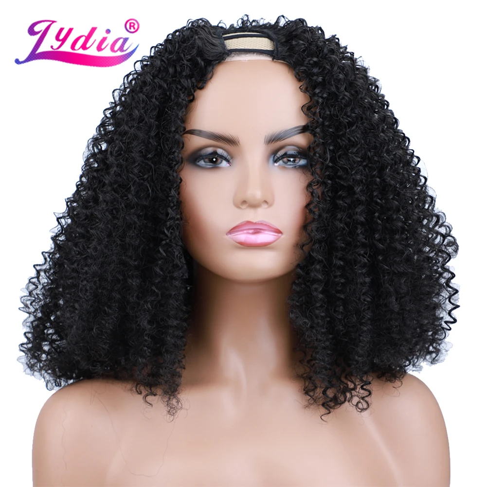 Lydia-Afro Kinky Curly Wig para Mulheres, Cabelo