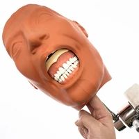 dental simulator nissin manikin phantom head dental phantom head model with new style bench mount for dentist education