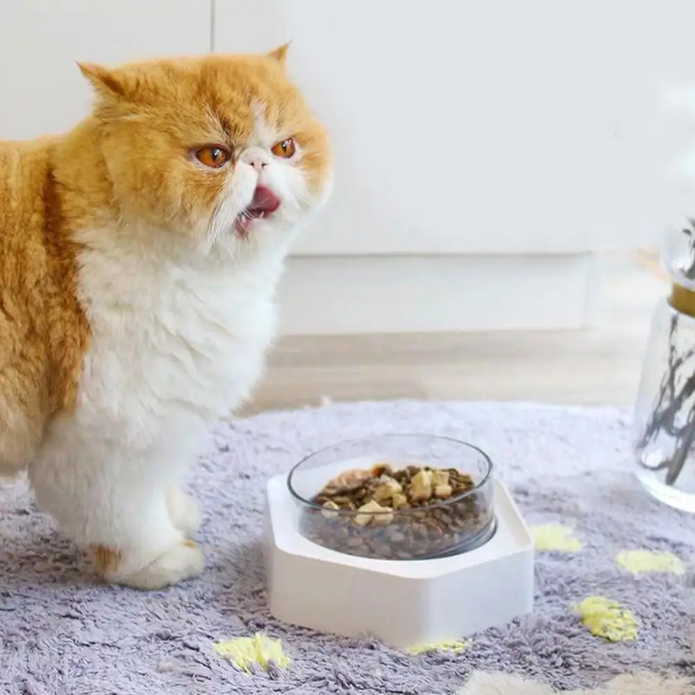 ПЭТ шестиугольная наклонная миска кормушка с нескользящей базой для кошек