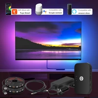 alexa ambient tv pc kit wifi dream monitor 4k hdtv voice computer screen background lighting hdmi devices led strip light ws2812