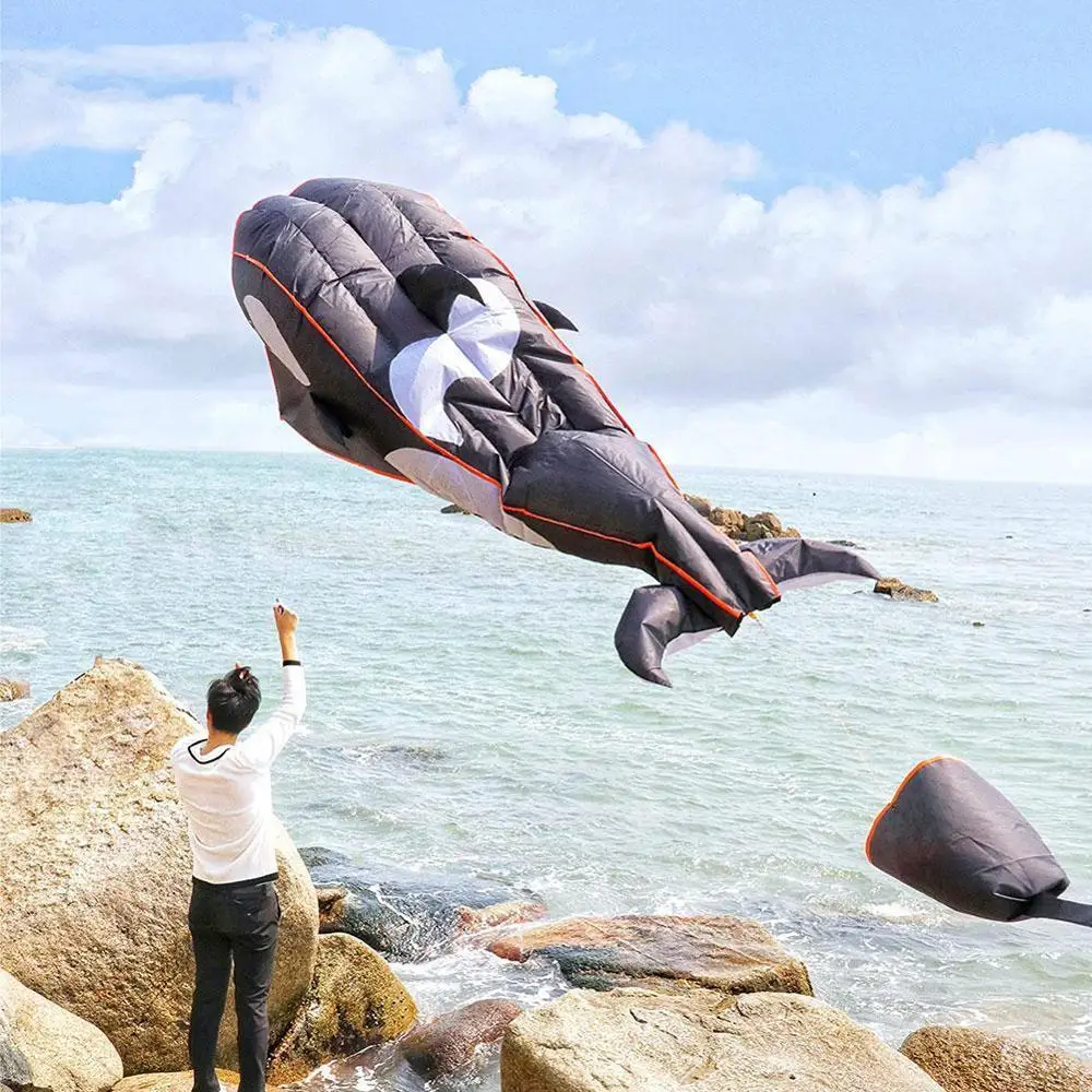 

Professional Power 3D Cartoon Whale Software Kite / With Good Flying Line String Kites Single Dropshipping Animal C8O5