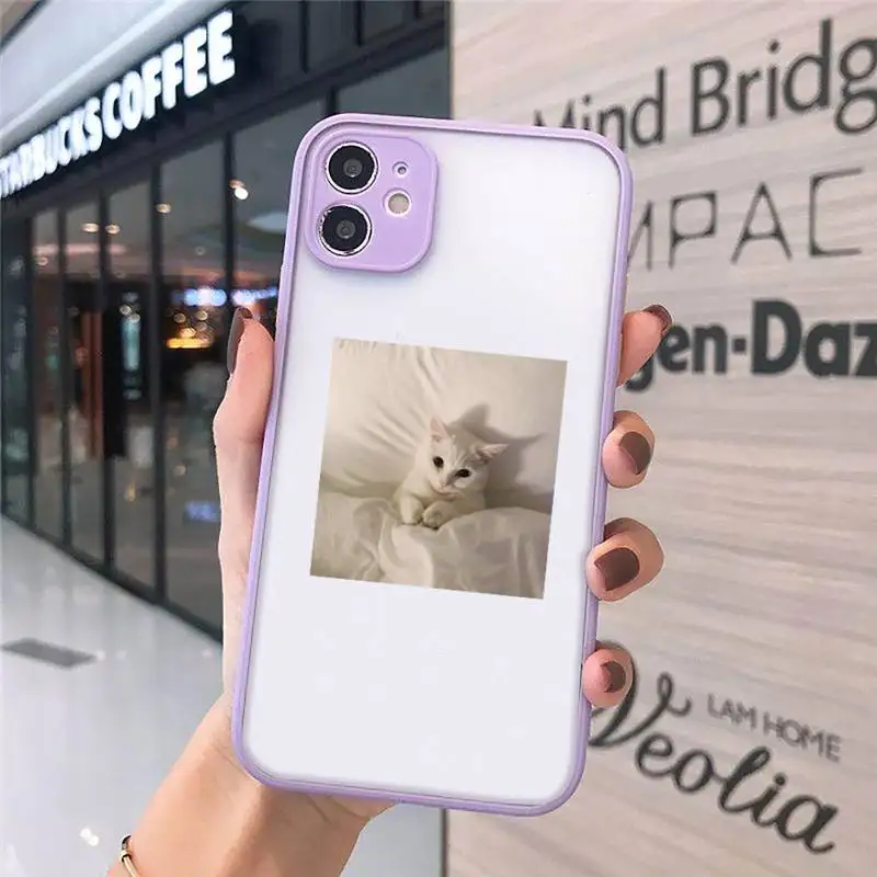 

Cute animal cat art design Phone Case matte transparent For iphone 7 8 11 12 plus mini x xs xr pro max cover