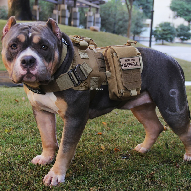 

Adjustable Tactical Dog Vest Molle Military Dog Clothes Set Hunting Dog Harness Nylon Army Service Dog Training Vest Harness