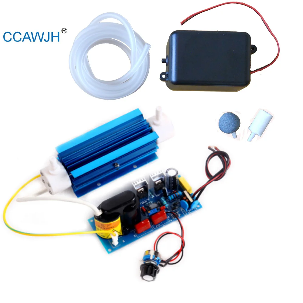110V with Accessory 110 В/220 В 12 В/24 В 3g генератор озона с силиконовой трубкой, выход озона, регулируемый озонатор для воздуха и воды+ дополнительный аксессуар - Цвет: 110V with Accessory