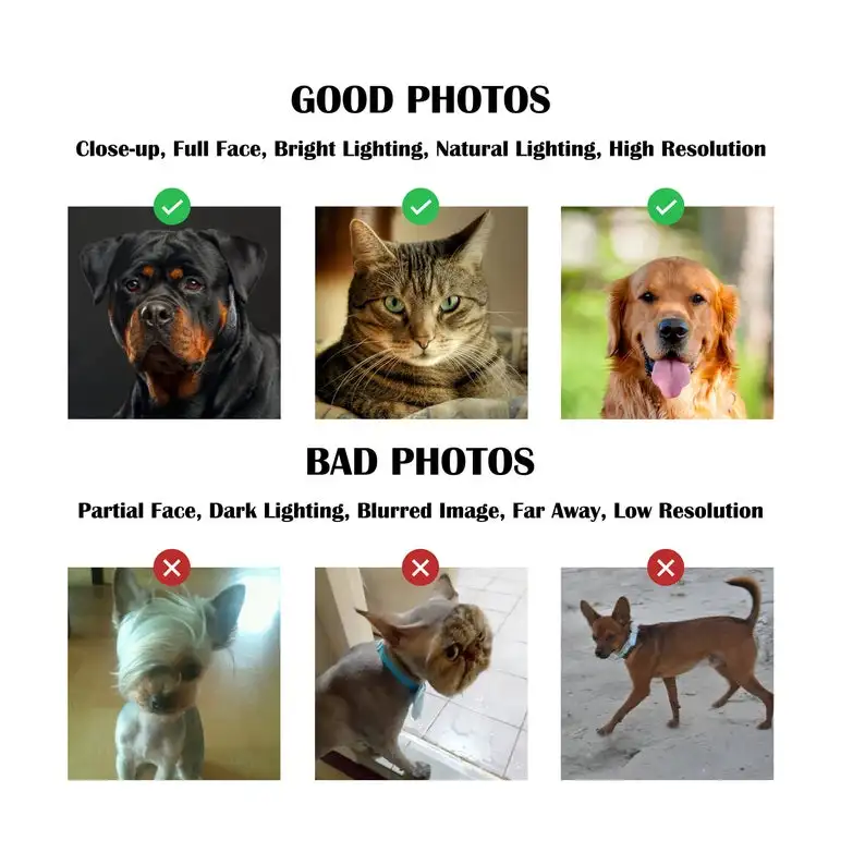 Коврик придверный противоскользящий для входной двери с именем на заказ |