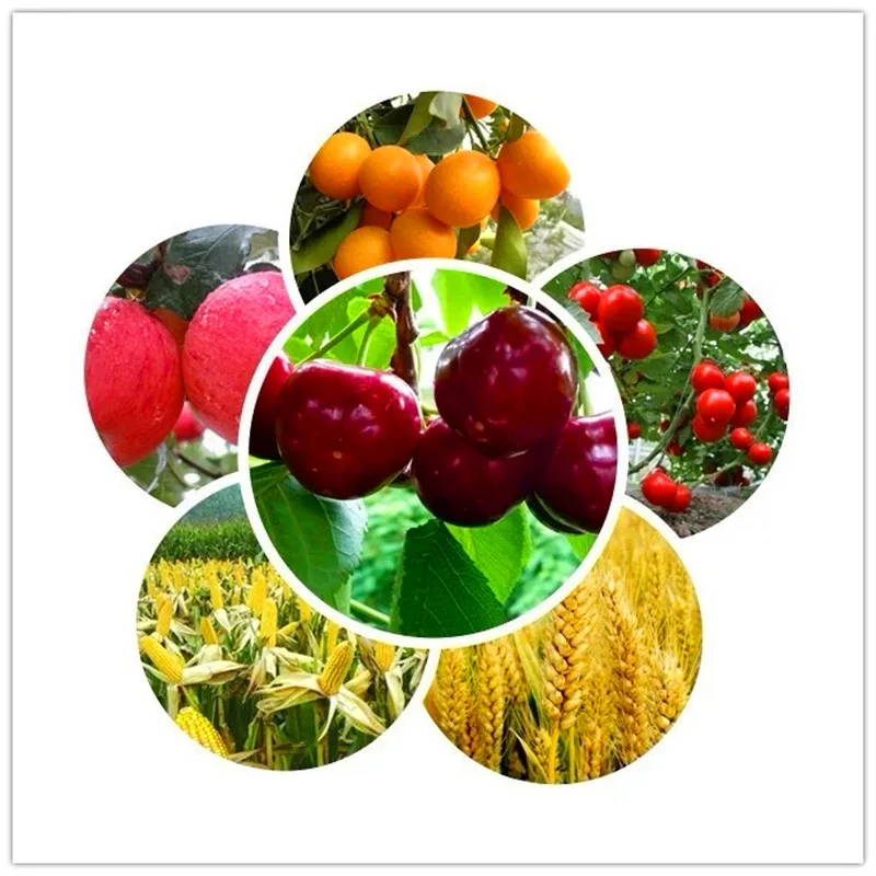 200 gram High Quality seaweed extract powder fertilizer kelp | Дом и сад