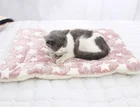 Мягкое Фланелевое утолщенное мягкое флисовая подкладка одеяло для питомца, коврик для кровати для щенков, собак, кошек, дивана, домашний ковер, согревающий чехол для сна
