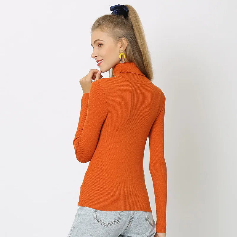 

New Casual Office Women Ladies Soft Fine-knit Turtleneck Sweater Winter Long Sleeve Sweater Slim Knitted Jersey Pullovers PZH001