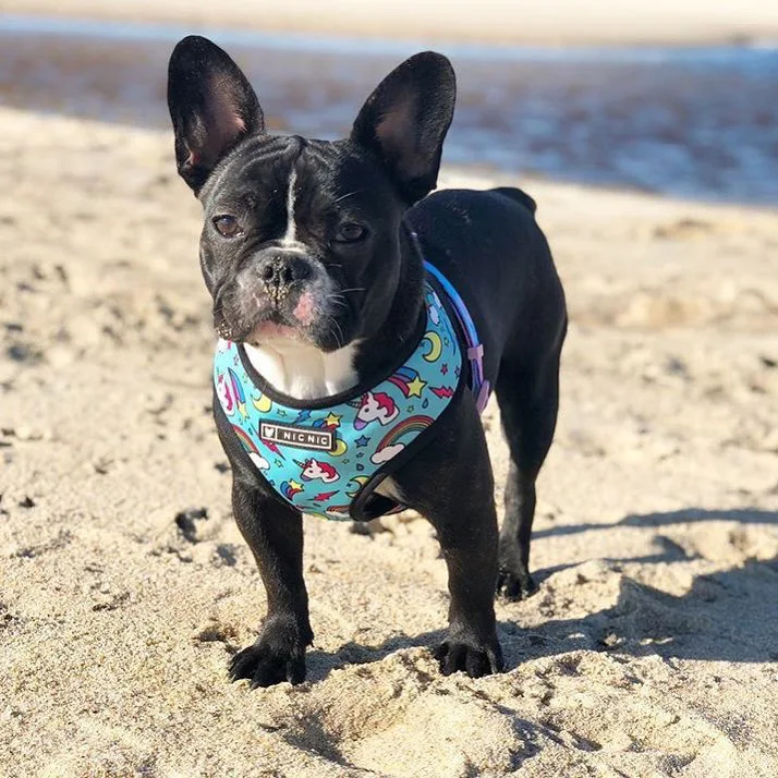 Тканевая шлейка для собак удобный мягкий жилет Мягкая сетчатая поводок Мопсов