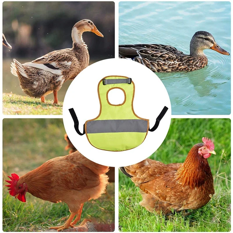 

Hen Apron Chicken Duck Vest Reflective Hen Saddle Apron Feather Protection Holder Chicken Clothes Poultry