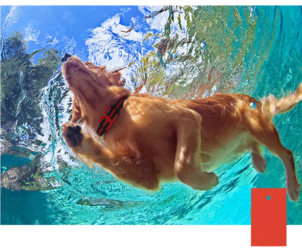 500 м ошейник для собак водонепроницаемый анти-кора устройство дистанционного