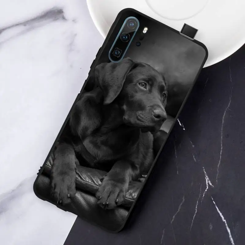 

Sad Labrador Dog cute animal high quality Phone Case shell For Huawei honor Mate P 10 20 30 40 Pro 10i 9 10 20 8 x Lite