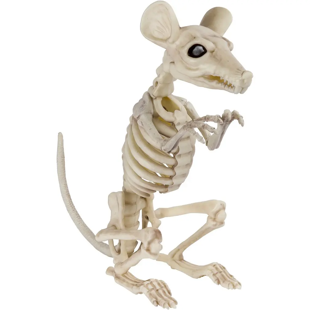 

Mouse Skeleton Halloween Decorations 28340 Mouse Skeleton For Bar Film Portable Fine Workmanship Good Appearance