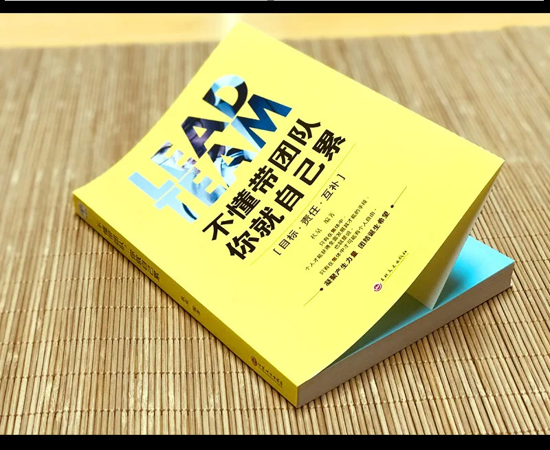 

Don't Understand with Team You Own Tired with Team Management Management Book Bestseller Employee