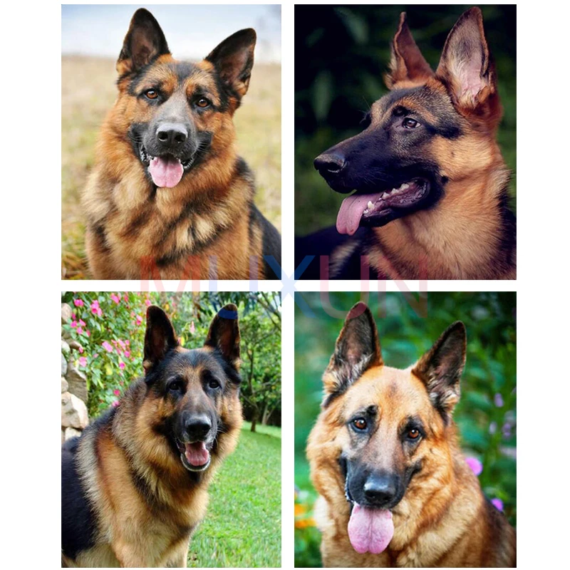 

5D Diy Full Round Diamond Painting Cross Stitch German Shepherd Dog Diamond Embroidery Diamond Mosaic Picture Home Decor Lx874