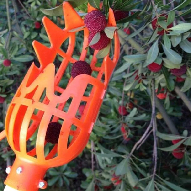 

Garden tools fruit picker gardening fruits Collection picking Head tool Fruit Catcher Device Greenhouse Fruit picker