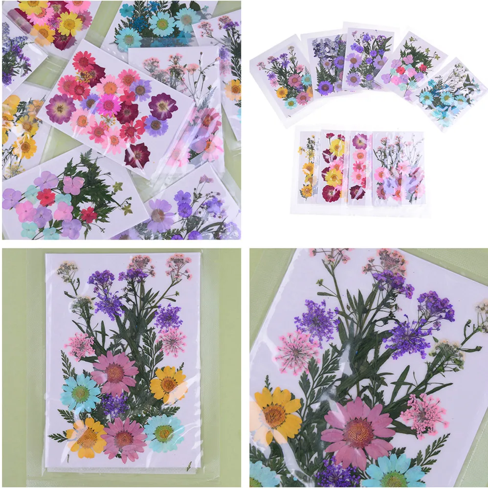 

1 Pcs Beautiful Pressed Dried Flower Dry Plants For Epoxy Resin Pendant Necklace Jewelry Making Craft DIY Accessories