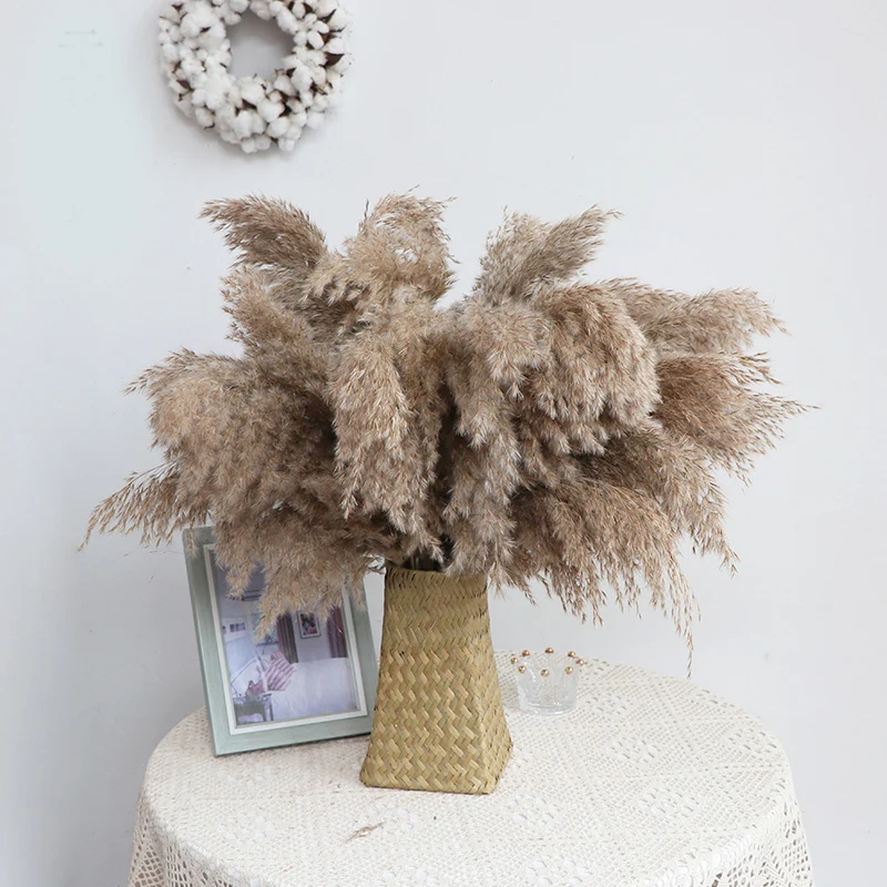 

Сушеные цветы 50-55 см, натуральный тростник, маленький букет из пампасной травы, свадебный цветок, украшение для свадебной церемонии, Совреме...