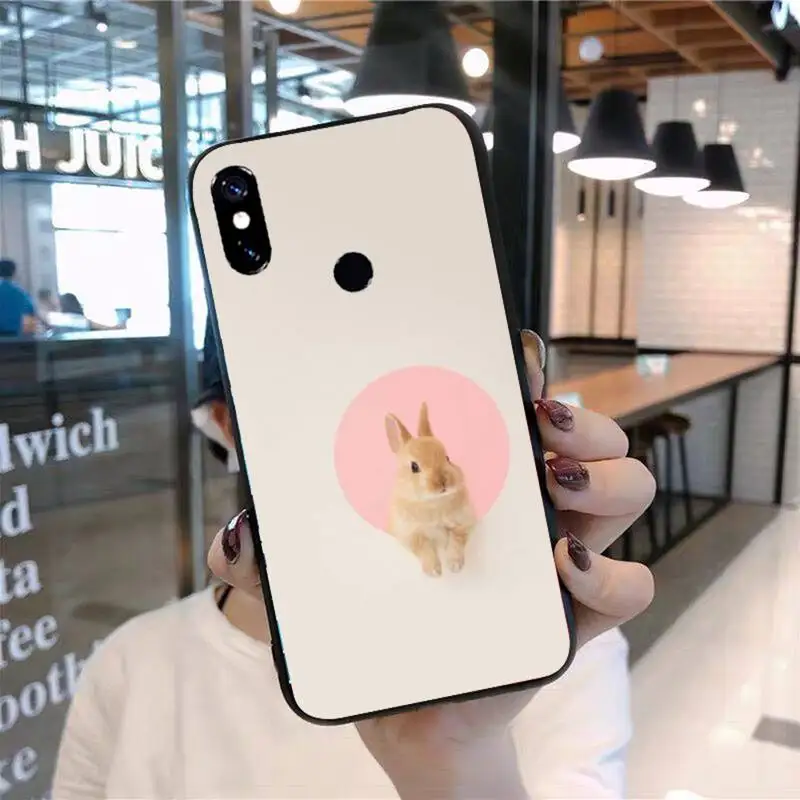 

Cute rabbit Phone Case For Xiaomi Redmi 7 8 9t 9se k20 mi8 max3 lite 9 note 9s 10 pro