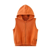 2022 new korean style chenchenma same style infants vest spring and autumn boys and girls small and older kids vest baby hooded