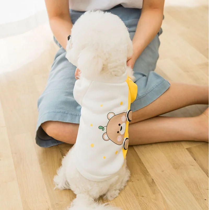 

Spring New Autumn Winter Small Dog Thin Breathable Cartoon Sweater Cute Cat Two Legged Clothes Pet Dog Clothes