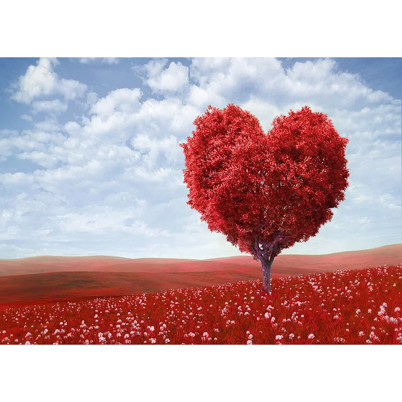 

Vinyl Custom Photography Backdrops Prop Valentine's Day Theme Photography Background QR20721-02