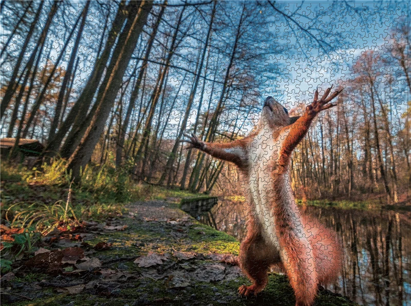 Пазлы-пейзаж животные 1000 шт. | Игрушки и хобби