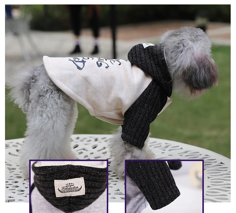 Новинка 2019 одежда для домашних животных на осень и зиму плюс бархатные толстые