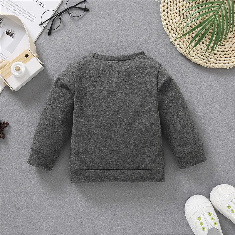 Toddler Baby Sweatshirts Letter Print Round Neck Long Sleeve Hoodies Top for Birthday Party Photography Vacation 3-24Months