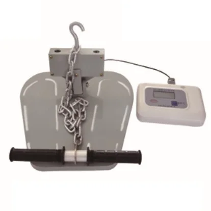 

Back-leg-chest Dynamometer for Physiotherapy Use