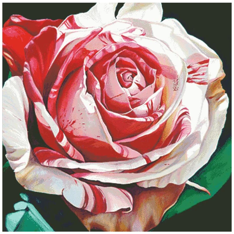 

Hildas Rose cross stitch kits big bloom 18ct 14ct 11ct cloth cotton thread embroidery needlework wall decor