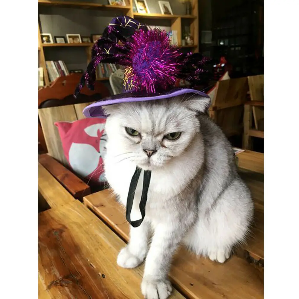 Костюмы для домашних животных на Хэллоуин паук шляпа-собака кошка ведьма