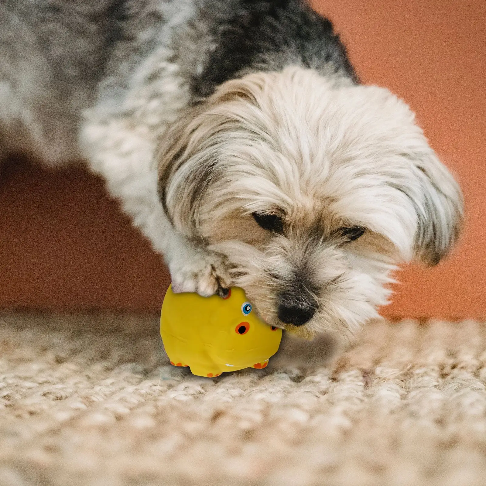 

4pcs Latex Interactive Dog Supplies Dog Teething Toys Dog Chewing Toys Pet Molar Toys Pet Puppies Playing Accessories