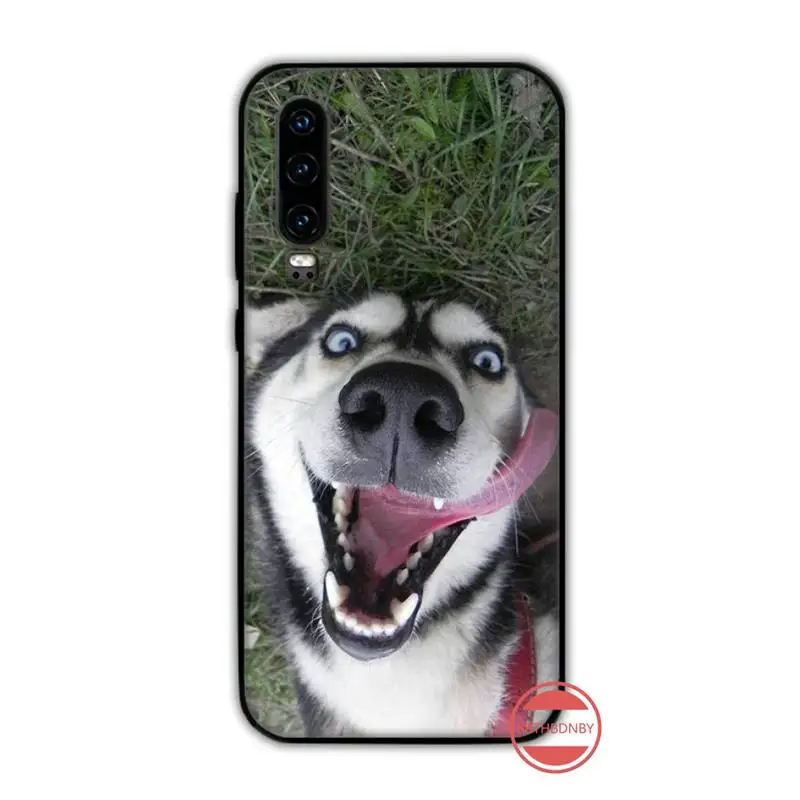 Хаски животных Собака изящный корпус под плетенную сумку чехол для телефона Funda