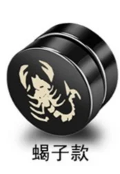 AS-0925-10MM-1 pair Панк мужской сильный магнит нержавеющая сталь круг магнитный зажим серьги на магнитах поддельные пробки без пирсинга клип на ювелирные изделия одна пара - Окраска металла: AS-0925-10MM-1 pair