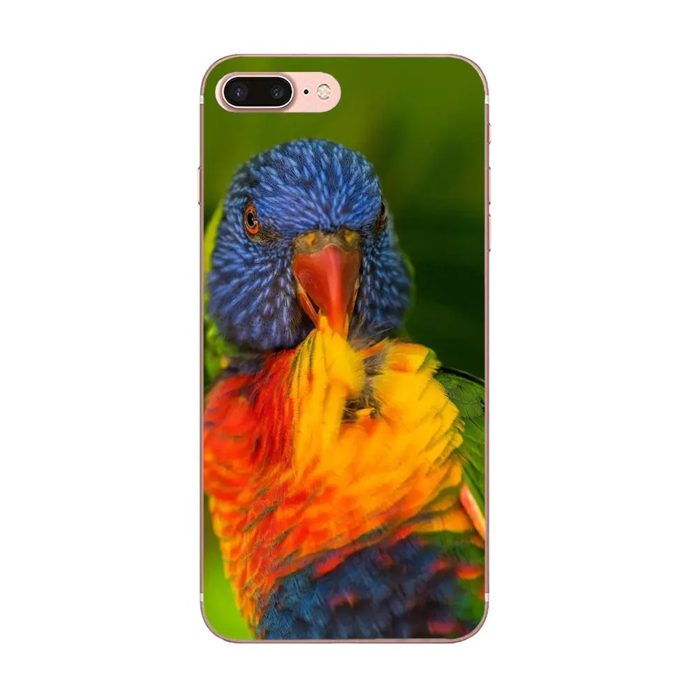 Мягкий чехол для птиц Macaws фиолетовая сова стиль huawei Honor mate 7 7A 8 9 10 20 V8 V9 V10 G Lite Play Mini