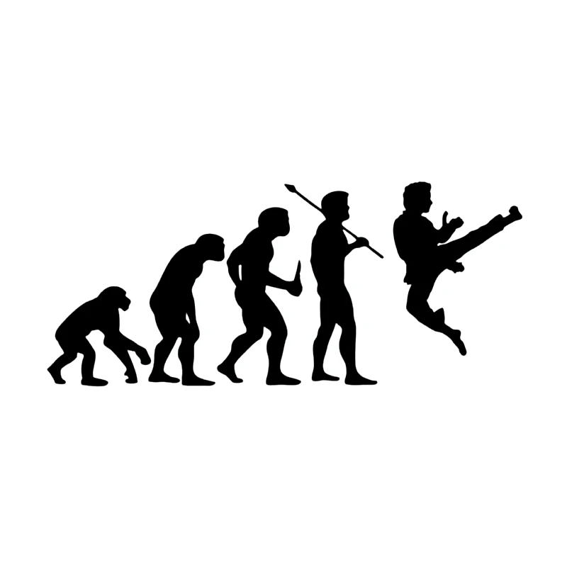 

CK20475# Die-cut Vinyl Decal Karate Kung Fu Evolved Car Sticker Waterproof Auto Decors on Car Body Bumper Rear Window