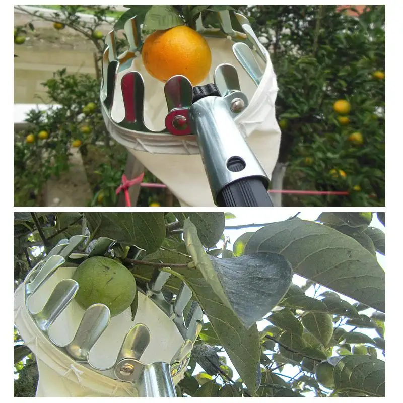 

Fruit Picker Head Basket Portable Fruits Catcher For Harvest Picking Citrus Pear Collector Catcher Peach Picking Garden Tool