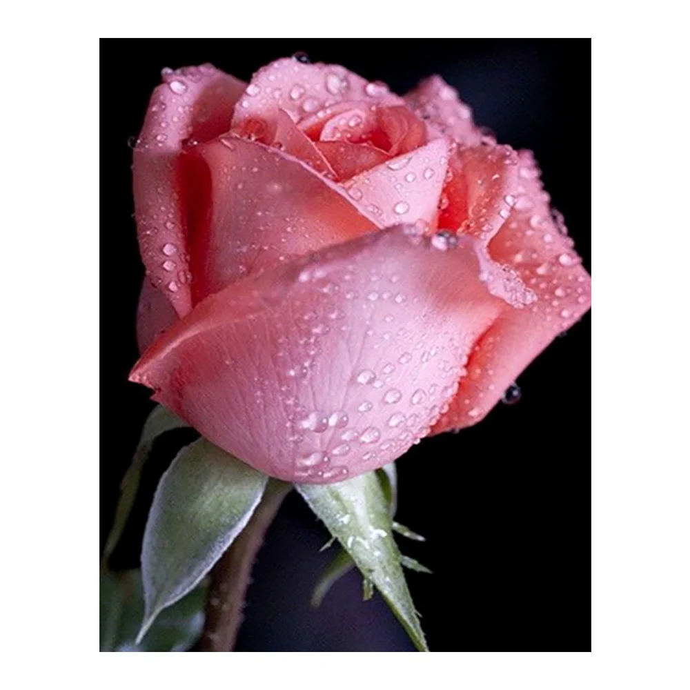 Алмазная картина капли воды с розами круглая 5D мозаика для вышивки крестиком